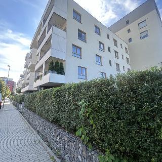 Pronájem bytu 1+kk a garsoniéry 39 m² Praha, Rorýsová