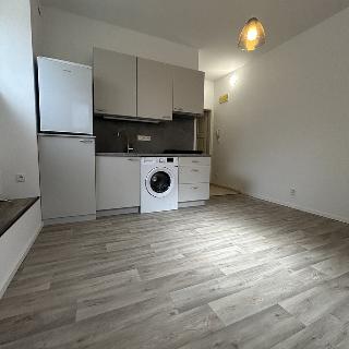 Pronájem bytu 1+kk a garsoniéry 18 m² Praha, Šárecká