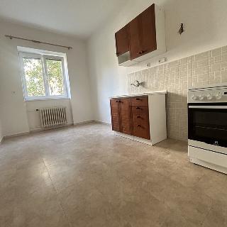 Pronájem bytu 1+1 40 m² Praha, Počátecká