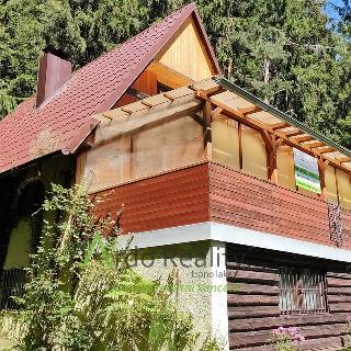 Prodej chaty 95 m² Lipno nad Vltavou, 