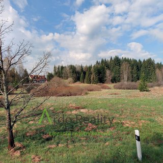 Prodej ostatního pozemku 13 889 m² Přední Výtoň, 