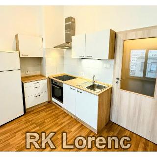 Pronájem bytu 1+kk a garsoniéry 30 m² Brno, Lidická