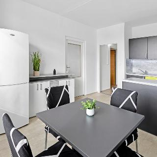 Prodej bytu 1+1 46 m² Pardubice, Lonkova