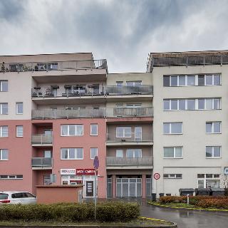 Pronájem bytu 2+kk 43 m² Pardubice, Pichlova