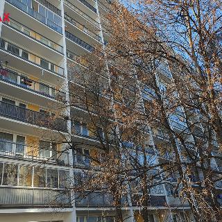 Pronájem bytu 1+kk a garsoniéry 30 m² Pardubice, Družby