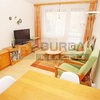 Pronájem bytu 2+kk 39 m² Neratovice, 