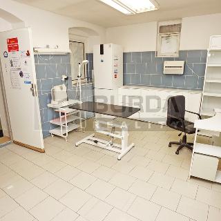 Prodej ostatního komerčního prostoru 78 m² Bílina, 