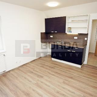 Pronájem bytu 1+kk a garsoniéry 26 m² Neratovice, 