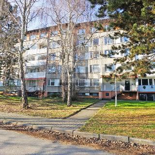 Prodej bytu 3+1 68 m² Měšice, 