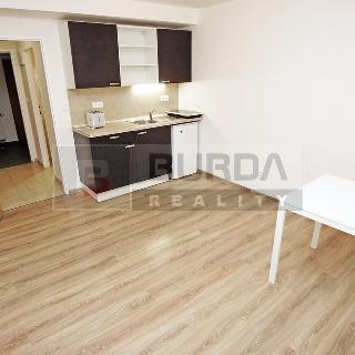 Pronájem bytu 1+kk a garsoniéry 21 m² Neratovice, 