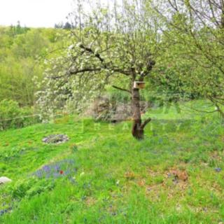 Prodej zahrady 346 m² Kralupy nad Vltavou, Lobeč