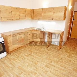 Pronájem bytu 1+1 34 m² Neratovice, 