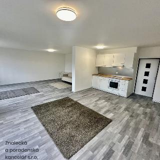 Pronájem bytu 2+kk 87 m² Ústí nad Labem, Purkyňova