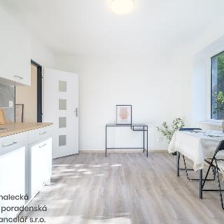 Pronájem bytu 1+1 38 m² Ústí nad Labem, Purkyňova