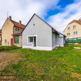 Prodej chaty 56 m² Velké Opatovice, 