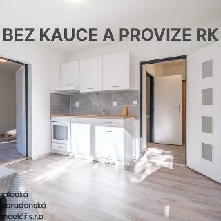 Pronájem bytu 1+1 38 m² Ústí nad Labem, Purkyňova