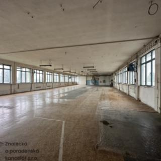 Pronájem skladu 1 000 m² Luby, Petra Bezruče