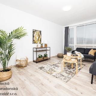 Pronájem bytu 2+1 60 m² Ústí nad Labem, Husova