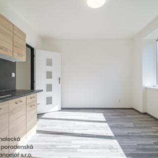 Pronájem bytu 1+1 38 m² Ústí nad Labem, Purkyňova