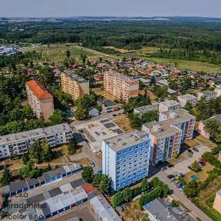 Pronájem bytu 2+kk 30 m² Hodonín, třída Bří Čapků