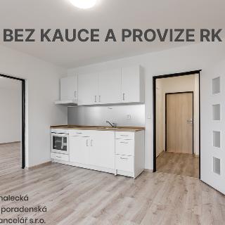 Pronájem bytu 1+1 47 m² Ústí nad Labem, Purkyňova