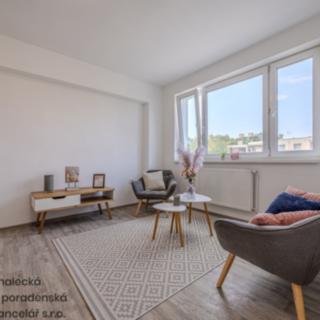 Pronájem bytu 2+kk 30 m² Hodonín, třída Bří Čapků