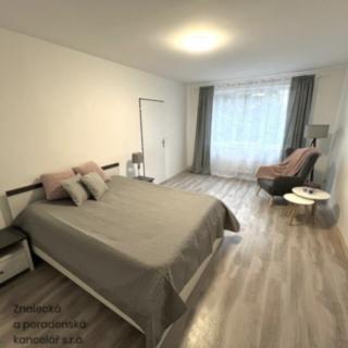 Pronájem bytu 1+1 38 m² Ústí nad Labem