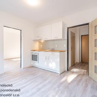 Pronájem bytu 2+kk 47 m² Ústí nad Labem, Purkyňova