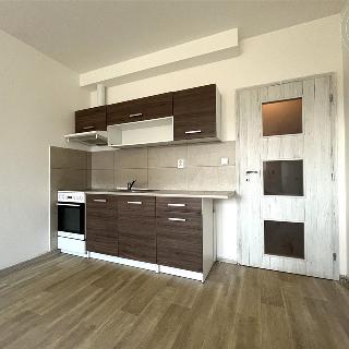 Pronájem bytu 1+kk a garsoniéry 27 m² Záříčí