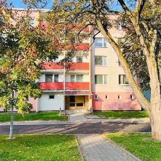 Prodej bytu 3+1 68 m² Hulín, Višňovce