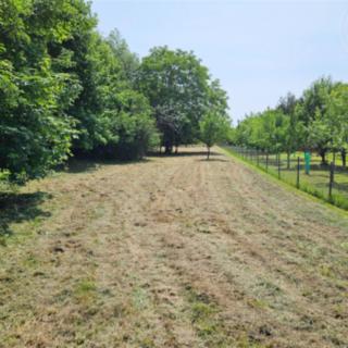 Prodej zahrady 1179 m² Kvasice