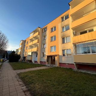 Prodej bytu 3+1 72 m² Holešov, Slovenská