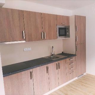 Prodej bytu 2+kk 35 m² Všemina, 