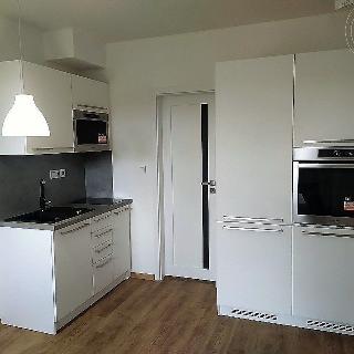 Prodej bytu 1+kk a garsoniéry 20 m² Všemina, 