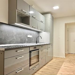 Pronájem bytu 3+1 88 m² Zborovice, Hlavní