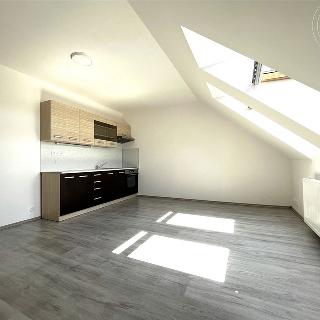 Pronájem bytu 1+kk a garsoniéry 38 m² Chropyně, Ječmínkova