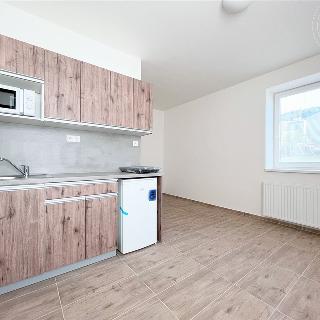 Pronájem bytu 1+kk a garsoniéry 21 m² Zlín, L. Váchy