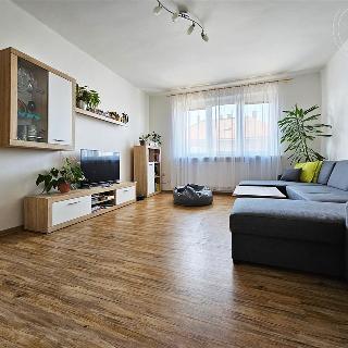 Prodej bytu 3+1 79 m² Přáslavice