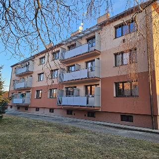 Pronájem bytu 3+1 70 m² Kvasice, Husova