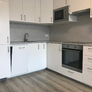 Pronájem bytu 1+kk a garsoniéry 32 m² Olomouc, Frištenského