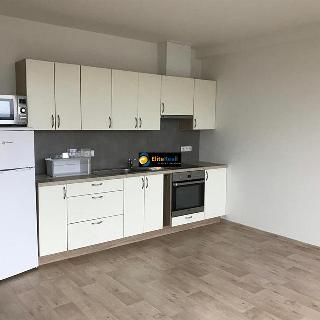 Pronájem bytu 1+kk a garsoniéry 35 m² Olomouc, Litovelská