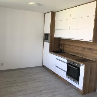 Pronájem bytu 1+kk a garsoniéry 33 m² Olomouc, Camilla Sitteho