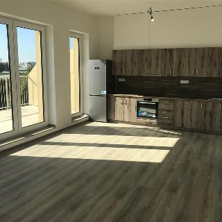 Pronájem bytu 3+kk 143 m² Olomouc, Frištenského