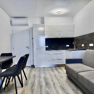 Pronájem bytu 1+kk a garsoniéry 36 m² Olomouc, Frištenského