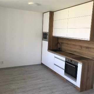 Pronájem bytu 1+kk, garsoniery 33 m² Olomouc