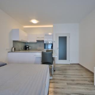 Pronájem bytu 1+kk a garsoniéry 27 m² Olomouc, Čajkovského