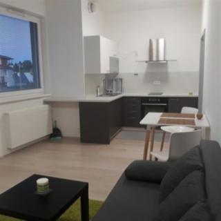 Pronájem bytu 1+kk a garsoniéry 29 m² Olomouc, Wolkerova