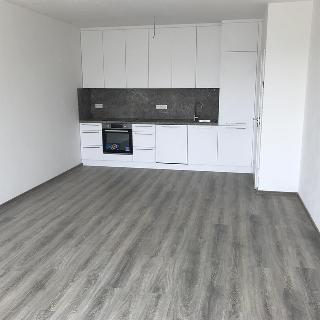 Pronájem bytu 2+kk 61 m² Olomouc, Frištenského