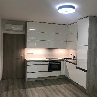 Pronájem bytu 1+kk a garsoniéry 32 m² Olomouc, Frištenského