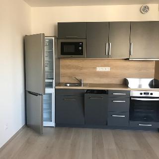 Pronájem bytu 2+kk 62 m² Olomouc, Eduarda Hamburgera